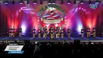 Fierce Idaho - Pumas [2024 L2 Senior Day 2] 2024 The American Northwest Portland Nationals