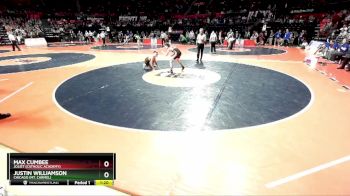 3A 113 lbs 5th Place Match - Max Cumbee, Joliet (Catholic Academy) vs Justin Williamson, Chicago (Mt. Carmel)