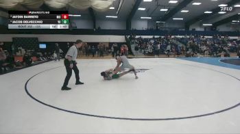 125 lbs 3rd Place Match - Jacob Delvecchio, York vs Jaydin Barreto, Misericordia