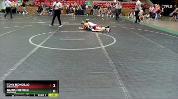 84 lbs 3rd Place Match - Damian Kemble, Louisville vs Tony Biondillo, Brecksville