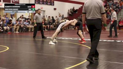 127 lbs Qtr-finals - Kamdyn Borrero, Cathedral Preparatory vs Greyson Music, Bishop McDevitt