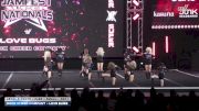 Rock Cheer Company - Love Bugs [2026 L3 Youth - Flex - Small DAY 1] 2026 JAMfest Cheer Super Nationals