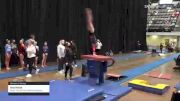 Ava Hicks - Women's Group, Swiss Turners Gymnastics Academy - 2021 Women's Xcel Region 4 Championships