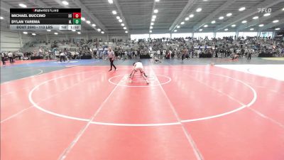 113 lbs Round Of 128 - Michael Buccino, SC vs Dylan Yarema, AL