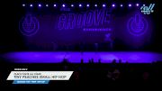 Peach State All Stars - Tiny Peaches Small Hip Hop [2024 Tiny - Prep - Hip Hop Day 2] 2024 GROOVE Dance Grand Nationals