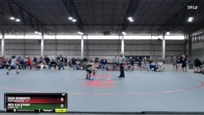 87 lbs Round 2 (4 Team) - Dom Roberts, Team Renegade vs Rex Kalkman, Hawks WC