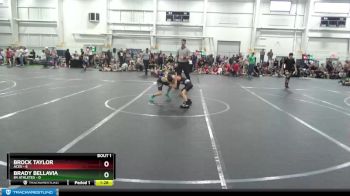 52 lbs Finals (2 Team) - Brady Bellavia, 84 Athletes vs Brock Taylor, ACES