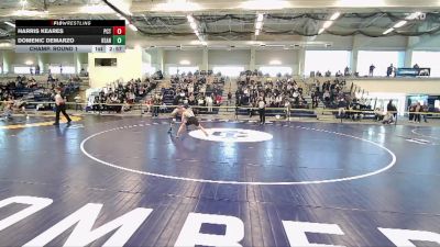 125 lbs Champ. Round 1 - Domenic Demarzo, Kean vs Harris Keares, Pennsylvania College Of Technology
