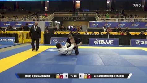 Alexander Michael Hernandez vs Lucas De Palma Boraschi 2026 Pan Jiu Jitsu IBJJF Championship