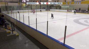 Replay: Home - 2024 Petes U10 vs Nationals U10 | Nov 28 @ 12 PM