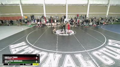 78 lbs Champ Round 1 (16 Team) - Nikolai Tibbs, Utah Gold vs Braxten Serrano, Stout