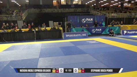 Ariel Alves Silva vs Alexandre Da Rocha Santos 2025 Pan Jiu Jitsu IBJJF Championship