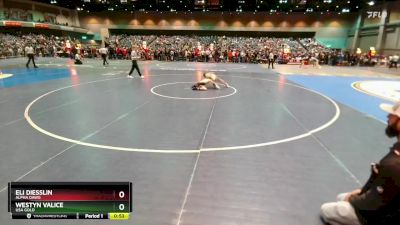 58-62 lbs Round 3 - Westyn Valice, USA GOLD vs Eli Diesslin, Alpha Dawg