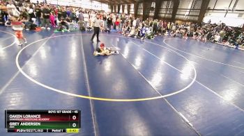 45 lbs Semifinal - Oaken Lorance, Sanderson Wrestling Academy vs Grey Andersen, JWC