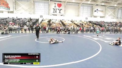 53 lbs Quarterfinal - Blaze Gaudioso, LeRoy Wrestling vs Mae Machemer, WRCL Wrestling Club