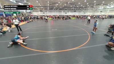 121 lbs Cons. Round 3 - Amelia Mitchell, Unattached vs Eowyn Reeves, Gladiator Wrestling