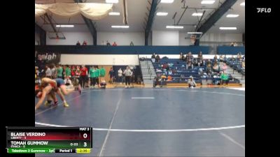 133 lbs Finals (2 Team) - Blaise Verdino, Liberty vs Tomah Gummow, Ithaca