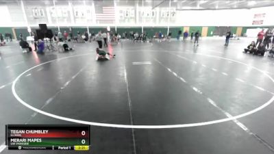 157 lbs Cons. Round 1 - Merari Mapes, UW-Parkside vs Tegan Chumbley, Illinois