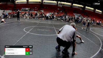 52 lbs Finals (2 Team) - Tyson Depietro, Neighborhood vs Vinny Lashaway, Empyre WC Gold