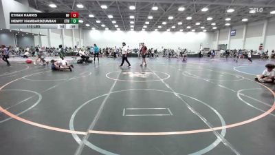 110 lbs Rr Rnd 3 - Ethan Harris, MF Purge Elite - EL vs Henry Hambardzumian, CTWHALE Orca - EL