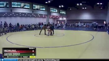 132 lbs Round 7 (10 Team) - Hector Cruz, Maximum Performance vs Gaetano Tedesco, Braves Wrestling Club