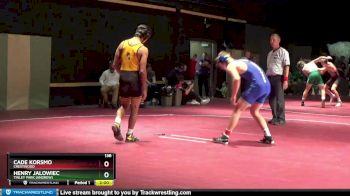 138 lbs Round 2 - Cade Korsmo, Crestwood vs Henry Jalowiec, Tinley Park (Andrew)