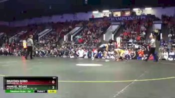 171 lbs Semifinals (8 Team) - Brayden Bobo, Hartland HS vs Manuel Rojas, Detroit Catholic Central HS