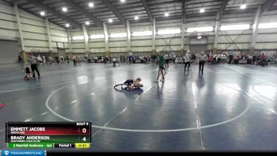 49 lbs Quarterfinal - Emmett Jacobs, Westlake vs Brady Anderson, Southern Utah Elite