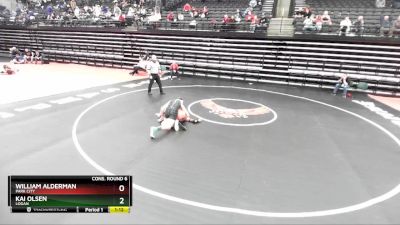 141 lbs Cons. Round 6 - William Alderman, Park City vs Kai Olsen, Logan