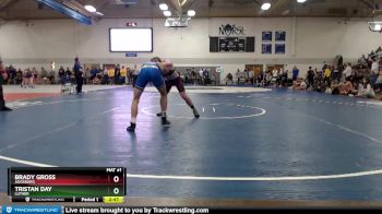 141 lbs Champ. Round 1 - Brady Gross, Augsburg vs Tristan Day, Luther