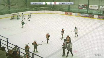 Replay: Home - 2025 CNHA Green U13 vs NWCAA Bruins U13 | Feb 1 @ 12 PM