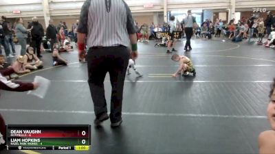 49 lbs Round 3 (6 Team) - Dean Vaughn, MI Pitbulls vs Liam Hopkins, Hazel Park Vikings