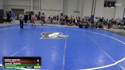 125 lbs 5th Place Match - Wyatt Gentzel, Cortland State vs Samuel Aponte, Roanoke College