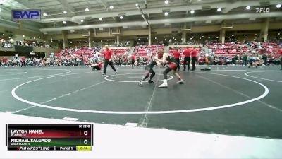 80 lbs Cons. Round 3 - Layton Hamel, Plainville vs Michael Salgado, Gray County