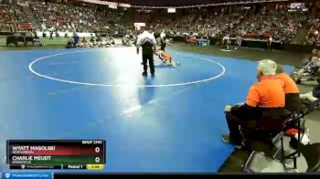 D2-106 lbs Semifinal - Wyatt Magolski, New London vs Charlie Meudt, Dodgeville