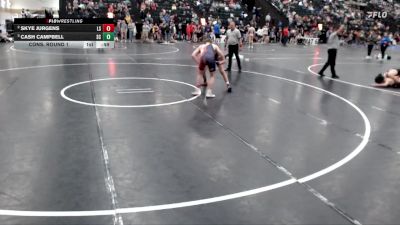 132 lbs Cons. Round 1 - Cash Campbell, Sedgwick County vs Skye Jurgens, Lincoln Southeast