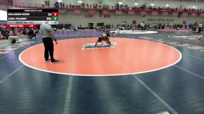 157 lbs Champ. Round 1 - Dalarian Rose, Eureka vs Cael Palmer, Wheaton