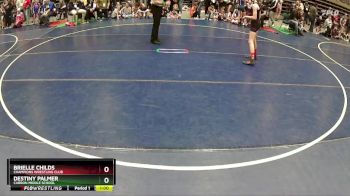 100 lbs Quarterfinal - Brielle Childs, Champions Wrestling Club vs Destiny Palmer, Carbon Middle School