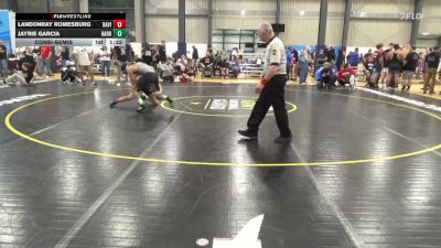 140 lbs Consolation - LandonRay Romesburg, Davidsville vs Jayrie Garcia, Harrisburg