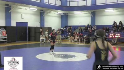 100 lbs Round 2 (4 Team) - Lianna Narcise, Mount Olive/Randolph vs Karlly Hague, Vernon Township