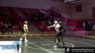 107 lbs Round 1 (3 Team) - Brisa Gonzalez-Rodriguez, Dover vs Angelina Qualtieri, Lenape Valley/Hopatcong