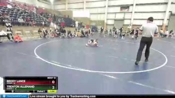 49 lbs Quarters & Wb (16 Team) - Brody Lance, Stout vs Trenton Allemand, Idaho 2