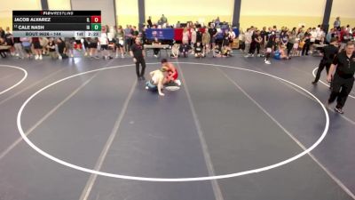 144 lbs Cons. Round 5 - Jacob Alvarez, IL vs Cale Nash, IA