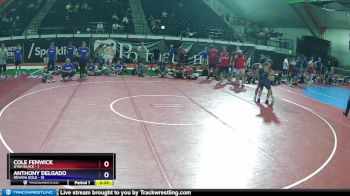 138 lbs Quarters & Wb (16 Team) - Cole Fenwick, Utah Black vs ANTHONY DELGADO, Nevada GOLD