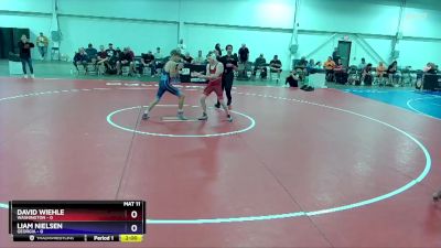 102 lbs Round 2 (8 Team) - David Wiehle, Washington vs Liam Nielsen, Georgia