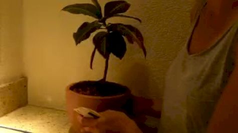 Susan Kuijken's Happy Birthday after 1500 at 2010 Lausanne Diamond League