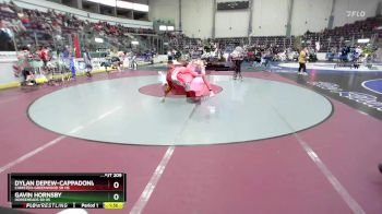 131 lbs Champ. Round 3 - Gavin Hornsby, Horseheads Sr HS vs Dylan Depew-Cappadonia, Canisteo-Greenwood Sr HS