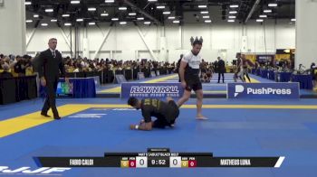 Fabio Caloi vs Matheus Luna 2025 World IBJJF Jiu-Jitsu No-Gi Championship