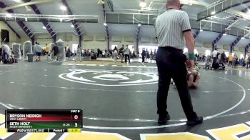 149 lbs Cons. Round 3 - Seth Holt, Salem University vs Bryson Neidigh, West Liberty