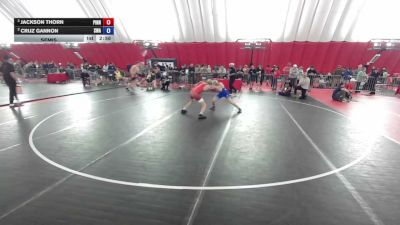 113 lbs Semis - Jackson Thorn, Pinnacle vs Cruz Gannon, Sebolt Wrestling Academy
